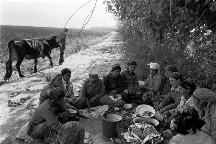 Таджикистан, 1987. Совхоз "Россия", сборщицы хлопка